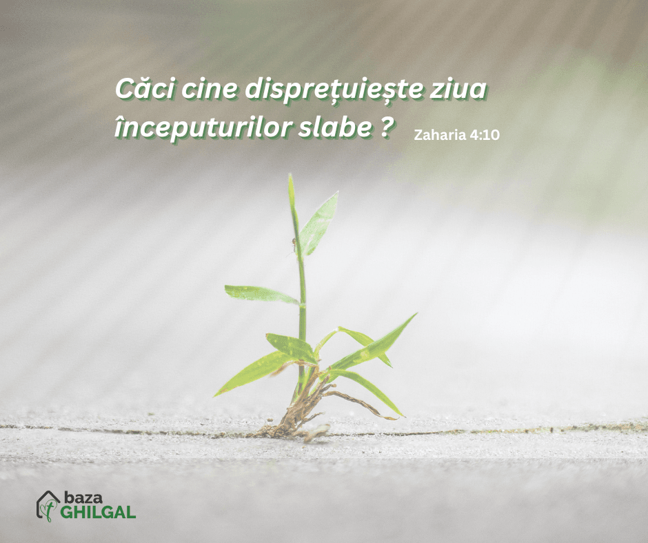 cine dispretuieste ziua inceputurilor slabe?