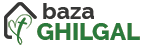 Logo Baza Ghilgal